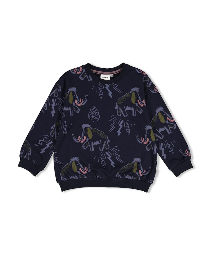 Jongens sweater blauw