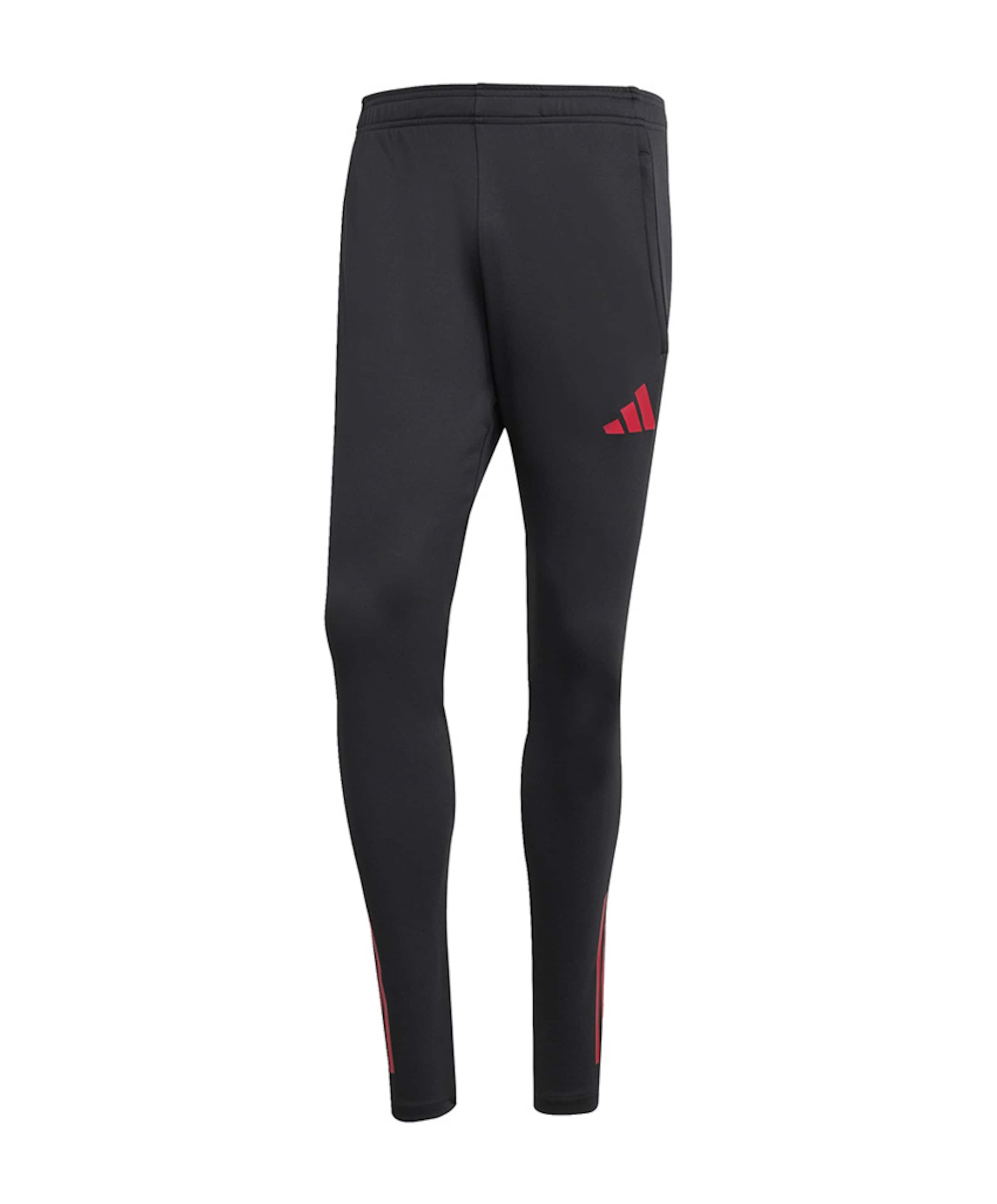 Lfc Tr Pnt trainingsbroek zwart