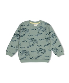 Jongens sweater groen