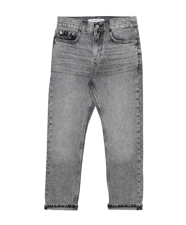 DAD WASHED MODERN GREY RGD jeans grijs