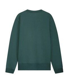 Heren longsleeve groen