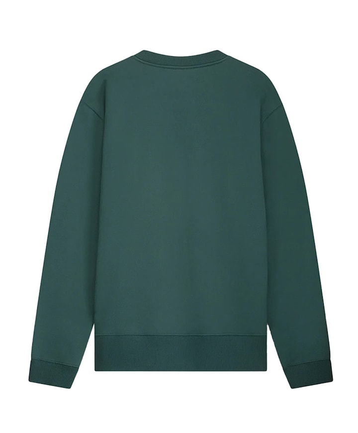 Heren longsleeve groen