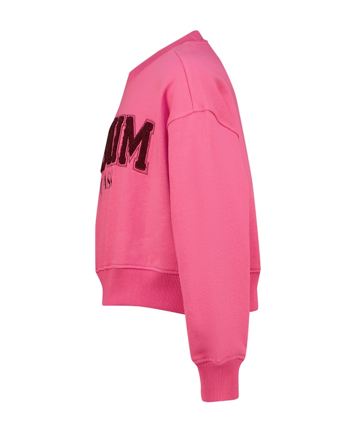 Meisjes sweater roze