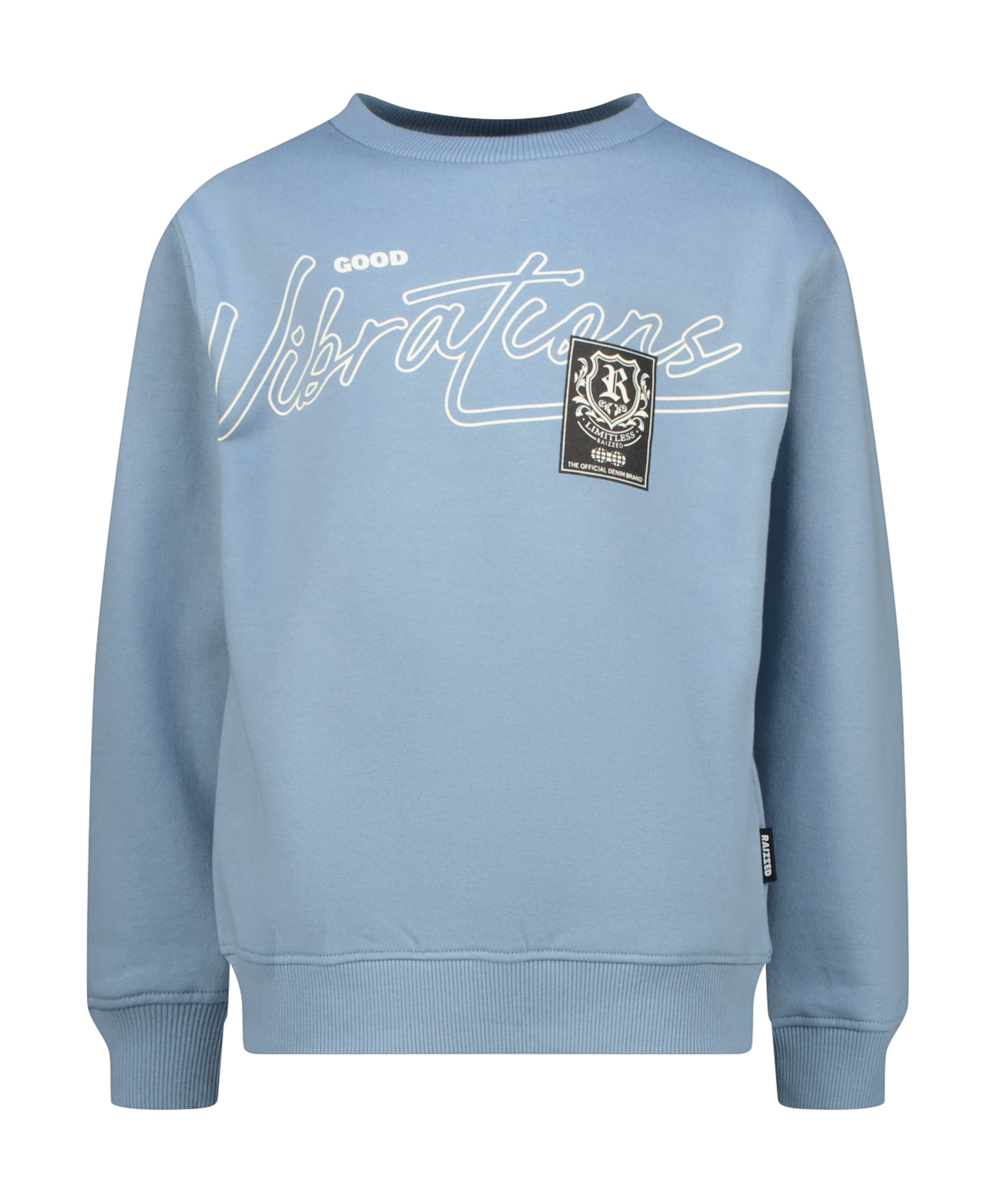 Jongens sweater blauw