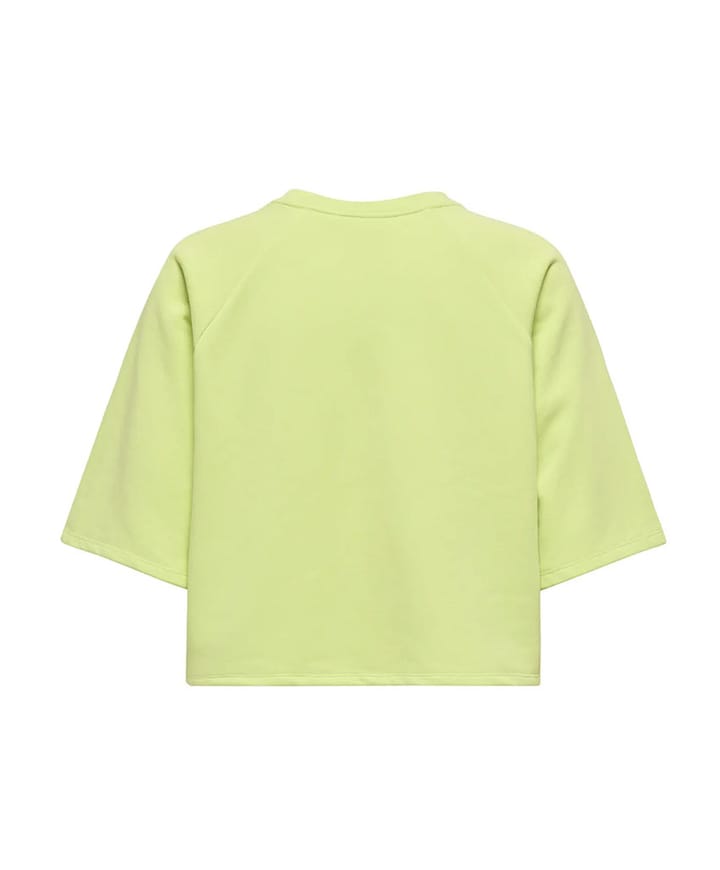 Dames sweater groen