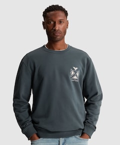 Heren trui blauw