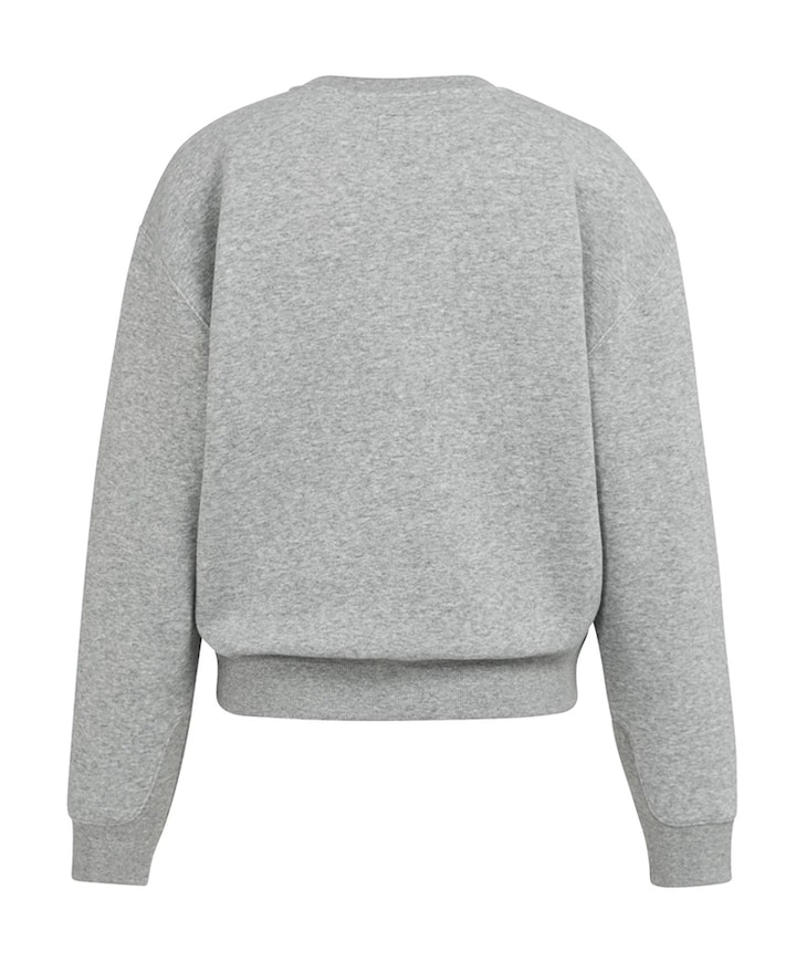 Dames sweater grijs