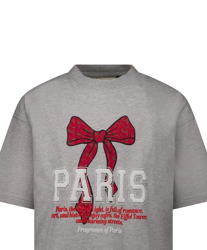 Meisjes T-shirt grijs