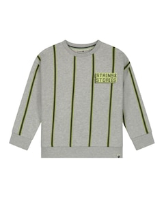 Jongens sweater grijs