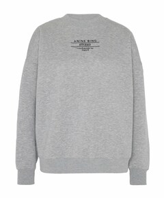 Dames sweater grijs