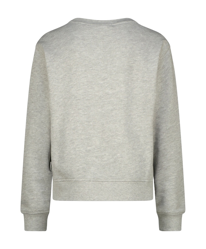 Meisjes sweater grijs