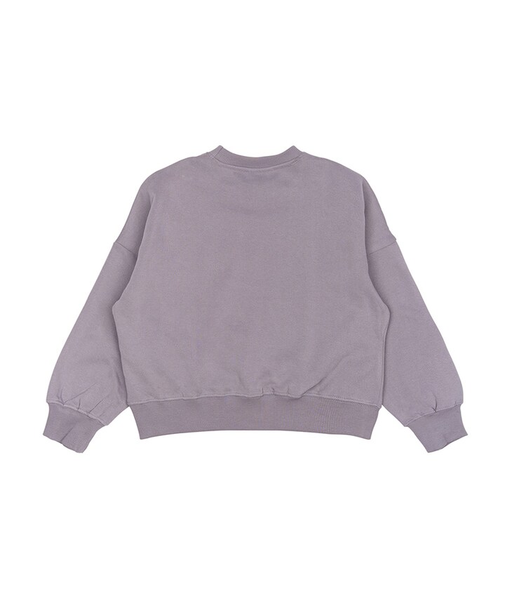Sweater paars