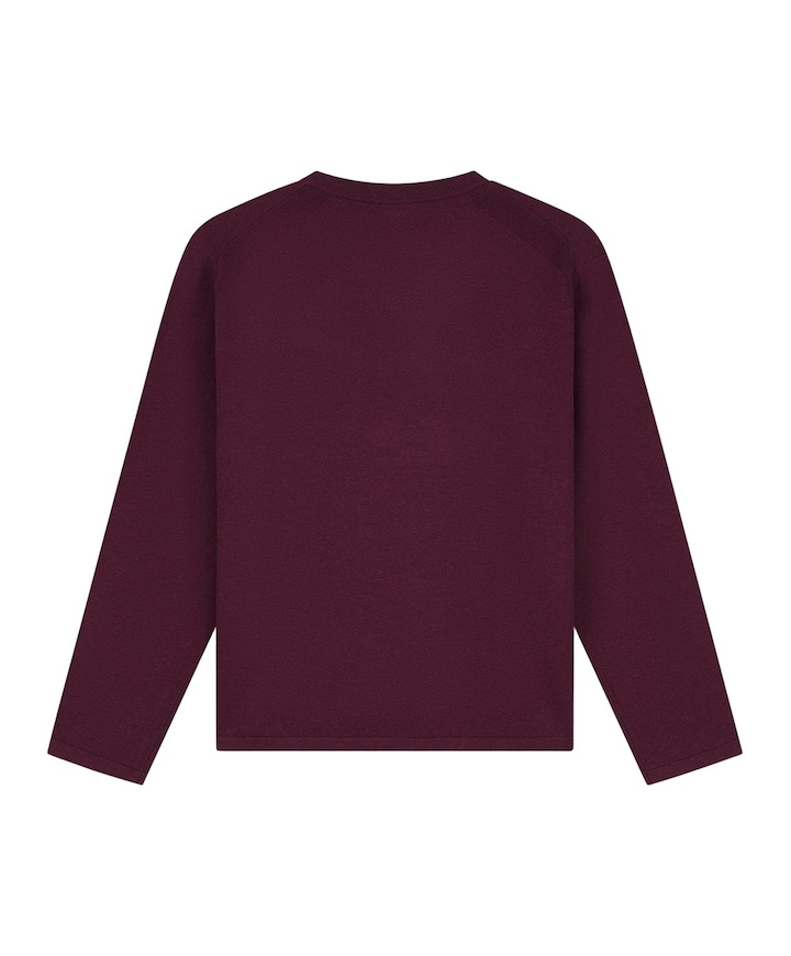 Heren trui rood