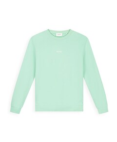 Heren sweater groen