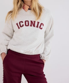 Dames sweater grijs