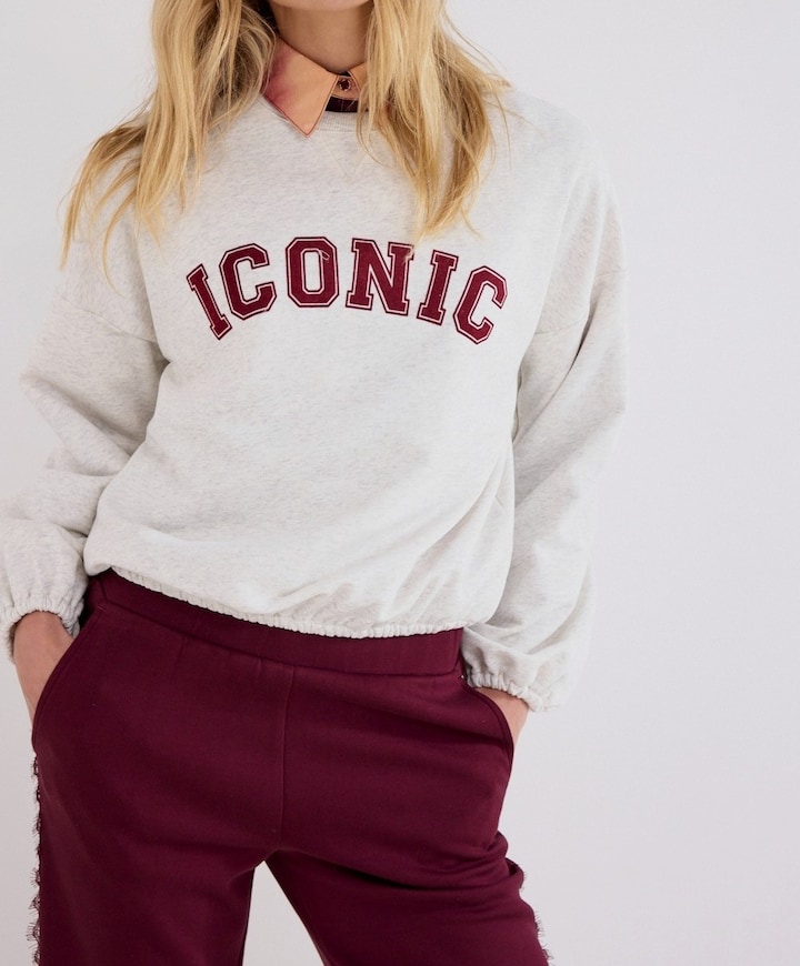 Dames sweater grijs