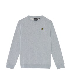 Jongens sweater grijs