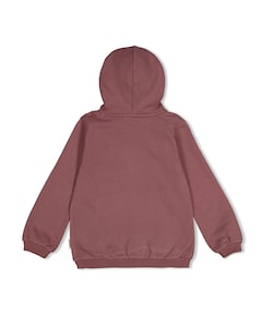 Jongens hoodie paars