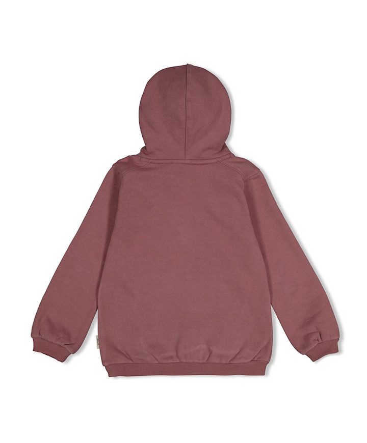 Jongens hoodie paars