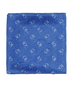 Dames sjaal blauw