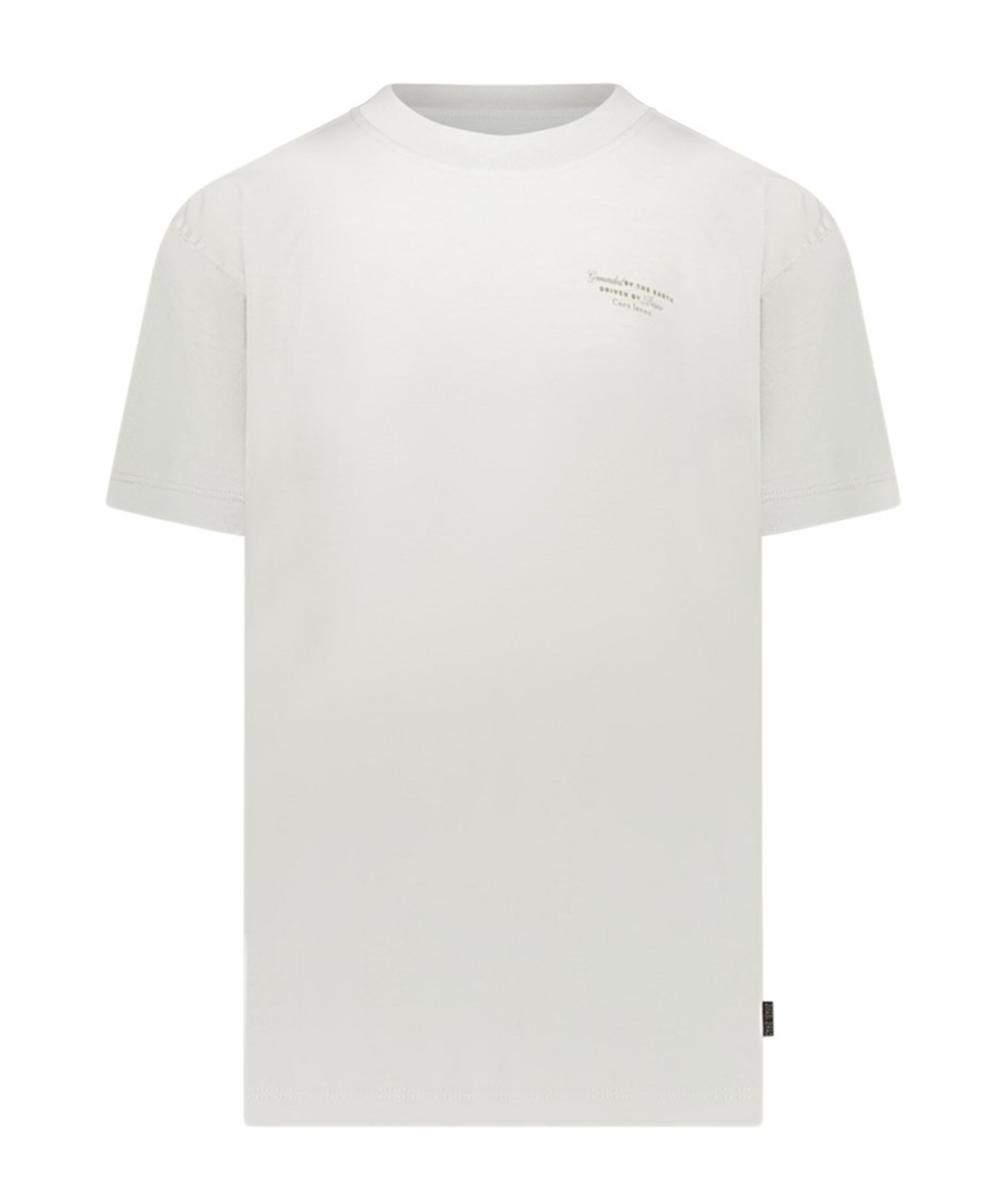 Jongens T-shirt grijs