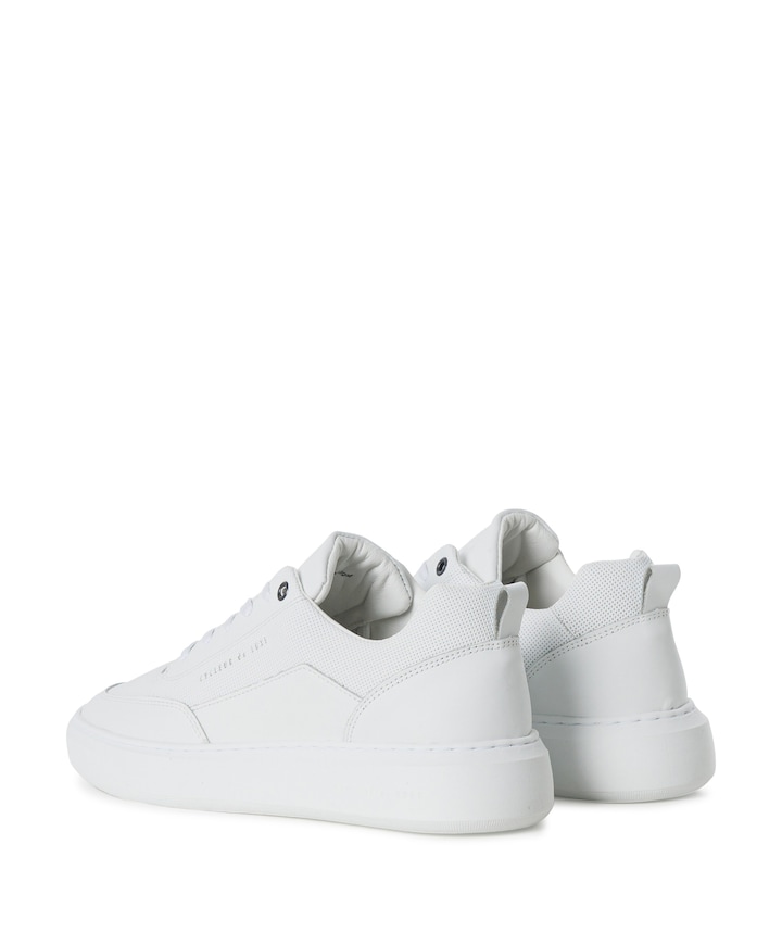ROUBAIX-DR7 heren sneakers wit