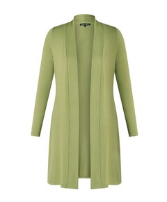 Dames vest groen