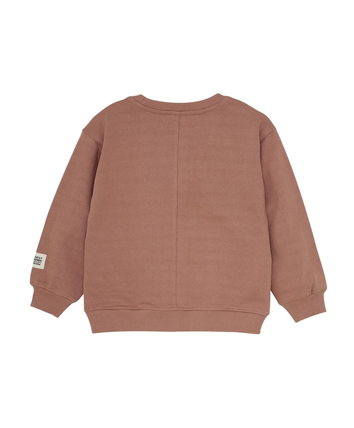 Jongens sweater bruin