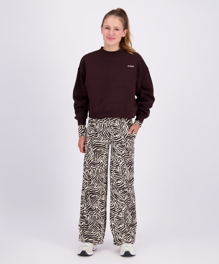 Meisjes sweater bruin