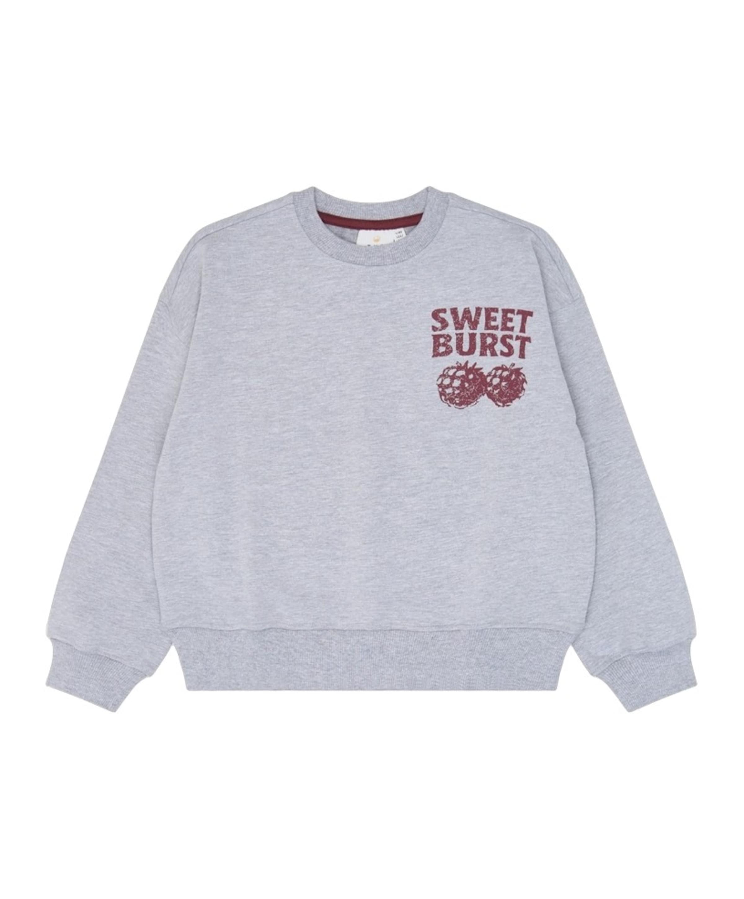 Jongens sweater grijs