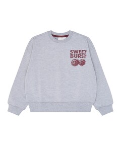 Jongens sweater grijs
