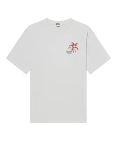 Heren T-shirt grijs