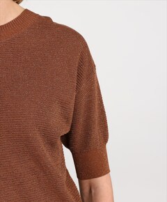 Dames trui bruin