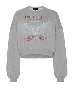 Dames sweater grijs