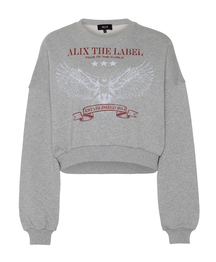 Dames sweater grijs