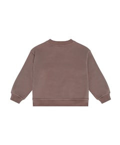 Jongens sweater bruin