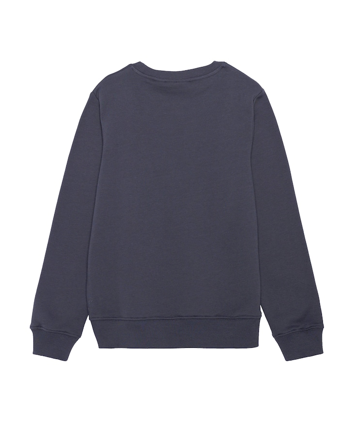 Uniseks sweater  grijs