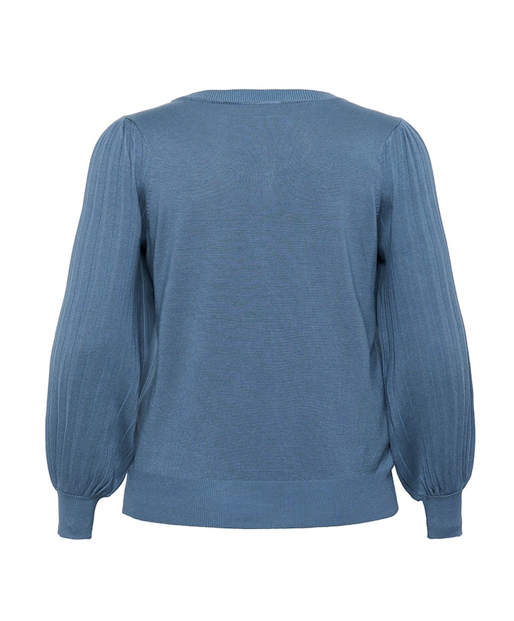 Dames trui blauw