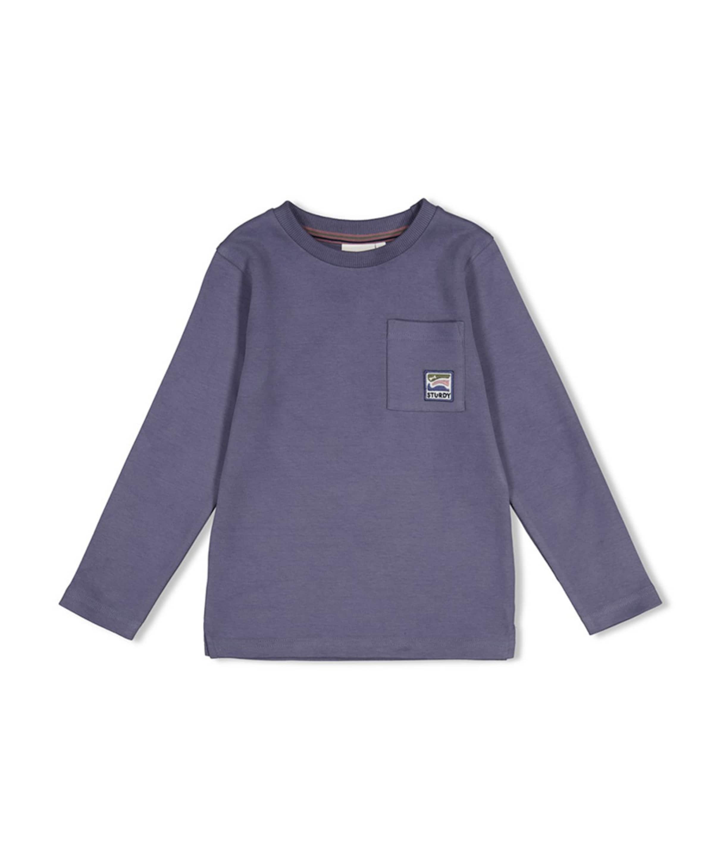 Jongens longsleeve blauw
