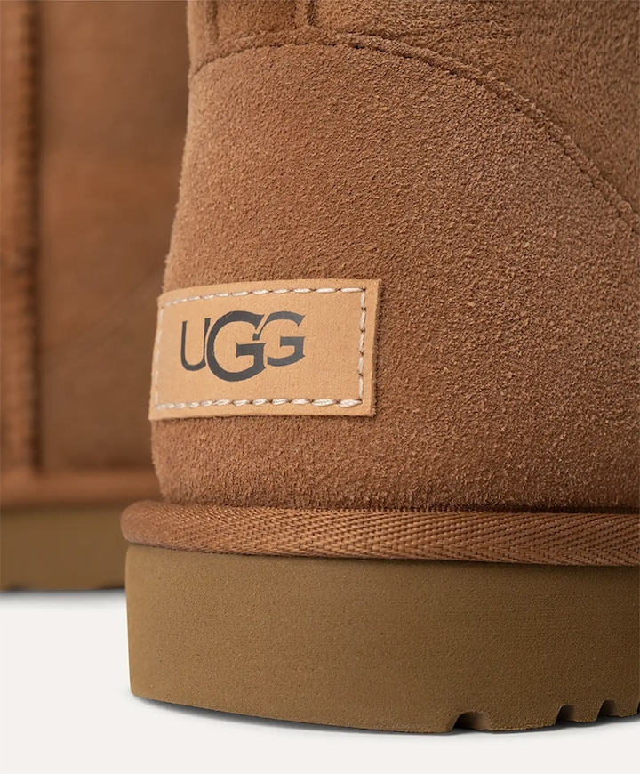 Classic mini II dames enkellaarzen bruin