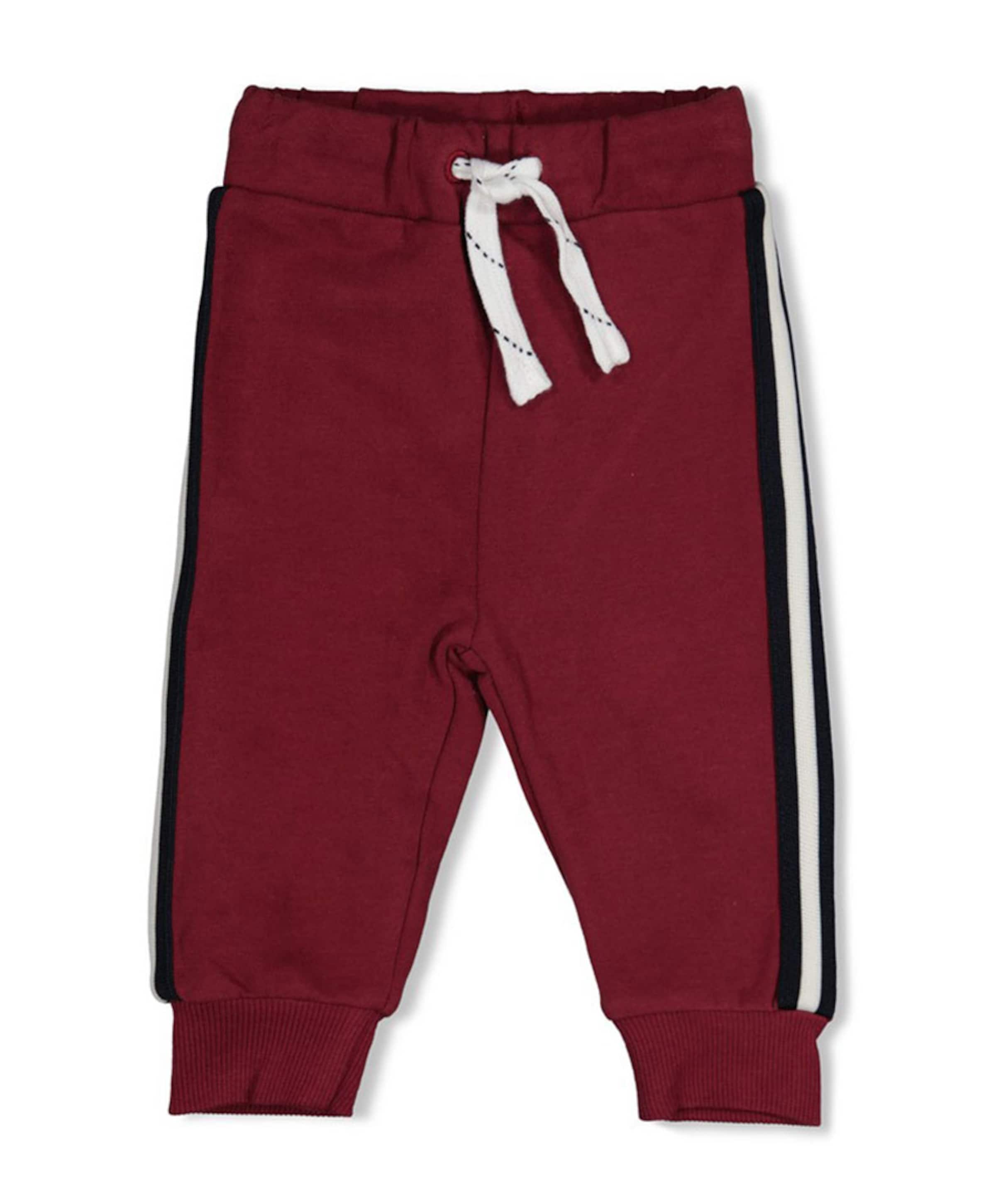 Jongens broek bordeaux