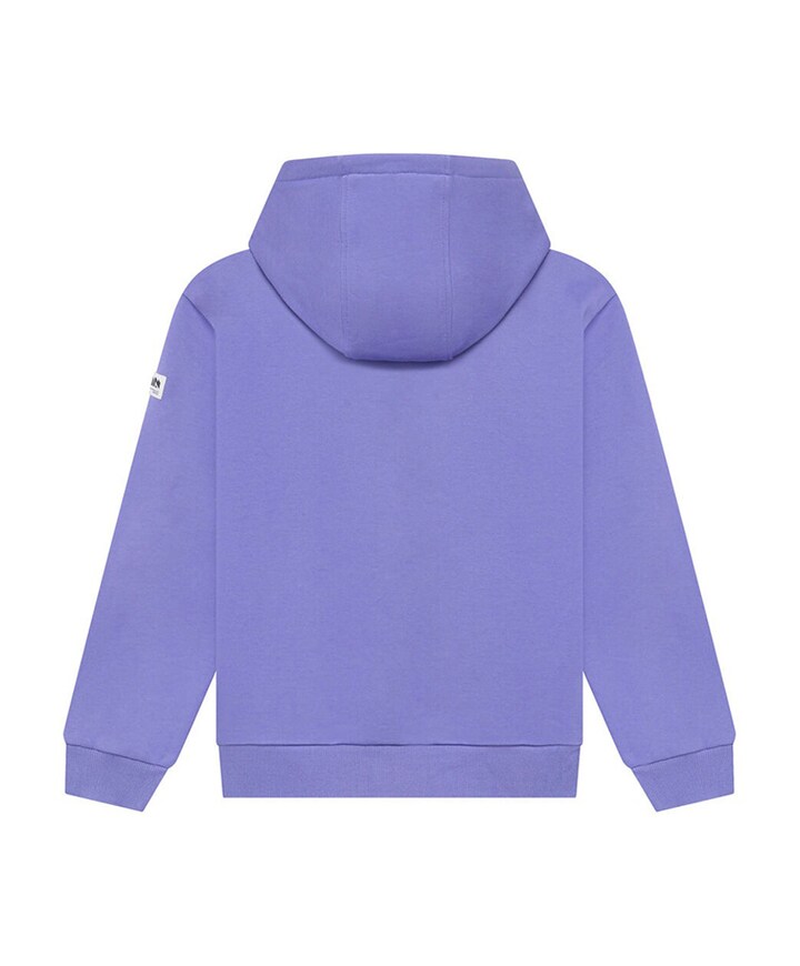 Jongens hoodie paars