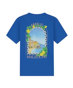 Heren T-shirt blauw