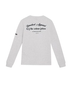 Jongens longsleeve grijs