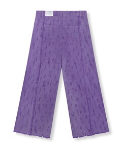 DAIN dames broek paars