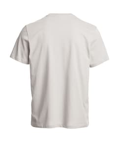 Heren t-shirt grijs