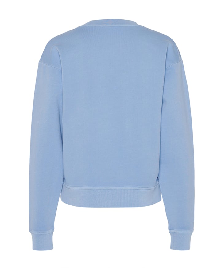 Dames trui blauw