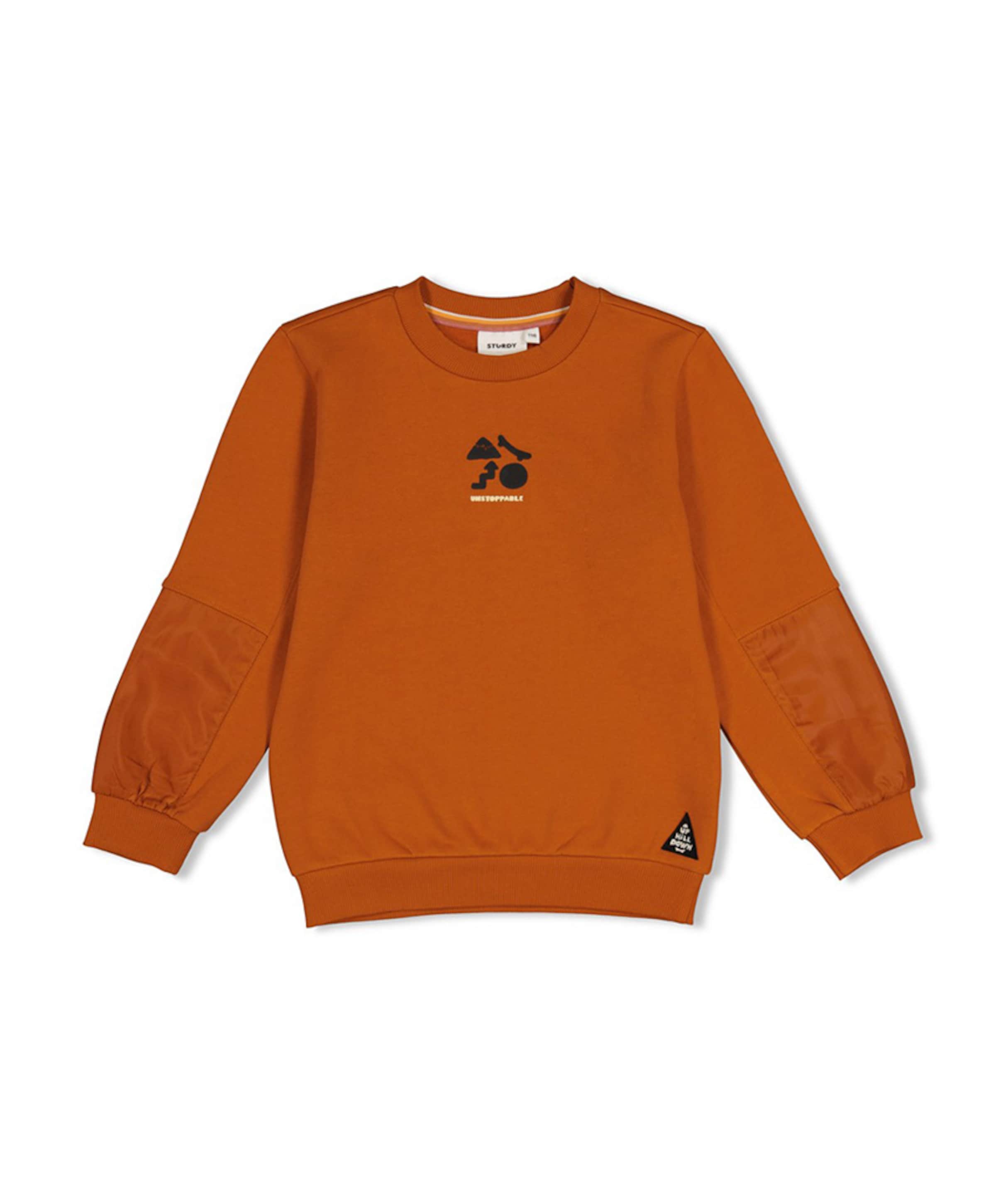 Jongens sweater oranje