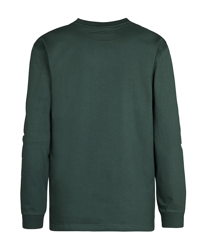 Jongens longsleeve groen