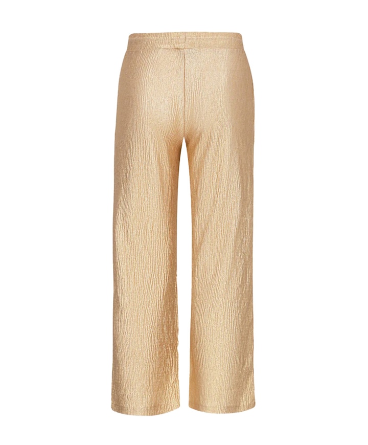 Fenya leg broek goud
